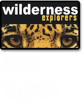 Wilderness Explorers - SALES